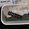Korean minimalist black and white polka dot hair clip, stylish cute BB hairpin for girls. - Square BB Clip / Black