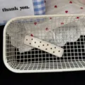 Korean style minimalist polka dot hair clip versatile cute bangs hairpin fashion hair accessories - Square BB Clip / White