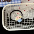 Cute cartoon puppy cupcake black hair rope for sweet girls daily ponytail styling accessory - Blue Cupcake Puppy Hair Tie