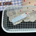 Korean cute polka dot bow hair clip sweet girl style fashion hair accessory for daily styling - Blue Square Clip