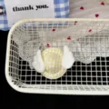Cute yellow checkered hat wing hair clip sweet girl style bangs hairpin hair accessory - Off-White Hat Hair Clip