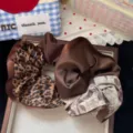 Detailed view of the brown leopard print and solid satin scrunchie, stylish hair accessory. - White Colorblock
