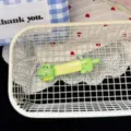 Cute green alligator hair clip sweet cartoon hairpin for girls bangs styling everyday wear - Crocodile Hair Clip