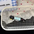 Jolie Barrette Chat Noir Bec de Canard Pince à Cheveux pour Fille Accessoires Mode Tendance - Barrette Chat