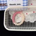 Korean style gradient pink polka dot telephone wire hair band sweet cute ponytail hair accessory - Pink Gradient Polka Dot