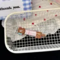 Cute brown bear long hair clip sweet girl duckbill clip fringe hair accessory styling tool - Bear Hair Clip