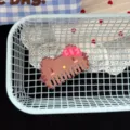 Pixel cat hair clip cute sweet girl bangs duckbill clip cute hair accessory fashion - Coffee Comb Hair Clip