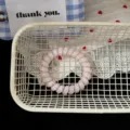 Schattig jelly noten telefoonkoord haarelastiek, roze paardenstaart haarband voor dagelijkse stijl. - Muzieknoot / Roze