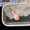 Jolie pince à cheveux canard drôle, accessoires kawaii mignons pour frange de fille. - Pince à Cheveux Blanc à Pois