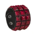 Black and Red Veined