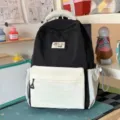 Casual colorblock backpack for daily school and travel, chic and stylish design with pockets. - Large (No Pendant) / Black