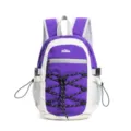 Bergsteiger-Rucksack, leichtes Outdoor-Design, funktionaler Farbmix, Wander-Daypack. - Lila / L