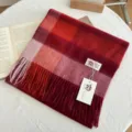 Gros plan d'une écharpe en laine à carreaux rouge et rose avec franges et étiquette. - Rouge