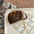 Retro tortoise shell acetate hair claw clip elegant shark hair clip for women daily - Coffee Stripe