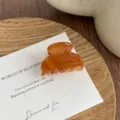Amber small hair claw clip acetate hair accessory for women bangs styling daily wear - Caramel color