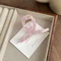 Detailed close-up of the elegant pink iridescent hair claw clip featuring ribbon. - Colorful Purple