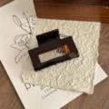 Brown acetate hair claw clip detail view geometric square shark clip daily styling - Hollow Square