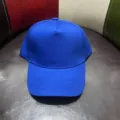 Detailfoto van een effen blauwe katoenen honkbalpet, casual pet voor dames en heren dagelijks. - Koningsblauw