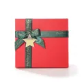 Red gift box with green ribbon bow, decorative Christmas packaging box for party gifts. - Large Gift Bag / Festive Red and Green