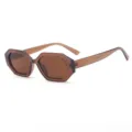 Lunettes de soleil polygonales rétro pour femmes hommes, monture vintage tendance verres bruns. - Thé Foncé Transparent
