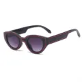 Zwarte ovale zonnebril met rode rand en mooie verloopglazen vintage streetwear stijl - Zwart Montuur Dubbel Grijs Glas (Rode Lijn)