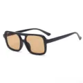 Modieuze vierkante zonnebril met dubbele brug voor dames en heren, retro oversized stijl. - Zwart Frame Bruine Lenzen