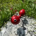 Vue détail de la figurine fourmi en métal rouge et noir posée sur la pierre dans le jardin. - Fourmi / 10x8.5x10cm / Fourmi Rouge
