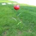 Piquet de jardin tulipe en métal décoration extérieure fleur rouge ornement de pelouse - Tulipe Rouge