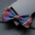 Elegante farfallino da uomo con righe bordeaux e blu, perfetto per abiti formali ed eventi. - Ricamo Viola (05)