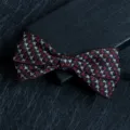 Farfallina tessuta classica da uomo per camicia da abito festa matrimonio accessorio - 19