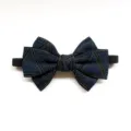 Children bow tie geometric pattern neck accessory cute stylish formal party wear kids apparel - Colorful Triangle