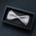 Farfallina grigia testurizzata da uomo con scatola regalo nera per abito da sposa - 17-A Pois Grigio Argento