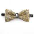 Sparkly rhinestone bow tie detail shot, full crystal night club stage bow accessory for men. - Gold