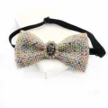 Rhinestone crystal bow tie with vintage gemstone center, elegant men wedding party wear detail. - Pearl Colorful