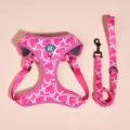 Pink heart print dog cat harness and leash set breathable adjustable pet walking accessories - XS / Pink Love Heart - Harness & Leash