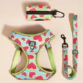 Cute watermelon print pet harness leash set for small dogs cats adjustable walking strap. - XS / Watermelon Love Heart 3-Piece Set