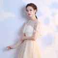 Dettagli mantellina in pizzo floreale trasparente, vista scialle sposa leggero, accessorio elegante - Taglia unica / Champagne