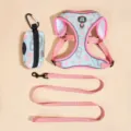 Cute cat dog pet harness leash waste bag set breathable mesh pink camo design daily walking - Leopard Print 3-Piece Set