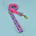 Guinzaglio per animali domestici con cuori stampati e accessori in metallo dorato resistente. - Taglia S / Guinzaglio Cuore Viola
