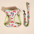 Cute watermelon heart pattern pet dog cat harness and leash set with reflective safety strip SKU - XS / Watermelon Heart - Harness & Leash