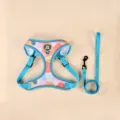 Breathable mesh dog harness and leash set with colorful abstract print and reflective strips. - Oil Painting Yellow - Harness & Leash