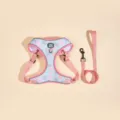 Pink and blue abstract pattern pet dog harness and leash set with reflective strips adjustable. - Leopard Print - Harness & Leash