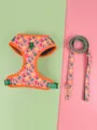 Cute summer pet dog harness and leash set with colorful pepper print breathable design for dogs. - L / Rose Red Pepper