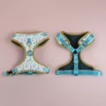 Set pettorina per cani in rete traspirante con simpatica stampa a cuori e cinghie blu. - Pettorina Cuore Bianco + Targhetta ID