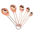 Rose gold stainless steel measuring spoons set, wire handle baking tools kitchen gadgets - 5pcs Measuring Spoons Set
