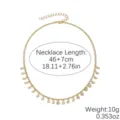 Gold Beaded Zircon Tassel Necklace Elegant Clavicle Chain Fashion Jewelry Variant - Light Luxury Water Drop Style (N2603-7)