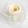 White organza ribbon roll 6cm wide for gift wrapping, DIY bows, and floral packaging decoration. - 10 Yards / Off White