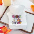 White pet dog hoodie with cute Halloween ghost embroidery, detailed view for small dogs. - XS-Bust 30cm, Length 20cm (Approx 1-1.5kg) / Trickster Halloween Sweatshirts