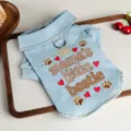 Cute denim pet clothes for small dogs, stylish turn-down collar with sweet embroidery design. - Mom's Sidekick Denim Shirt