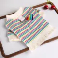 Colorful striped pet dog vest with rainbow heart patch, D-ring and fringe hem detail. - XS / Rainbow Tassel Tank Top